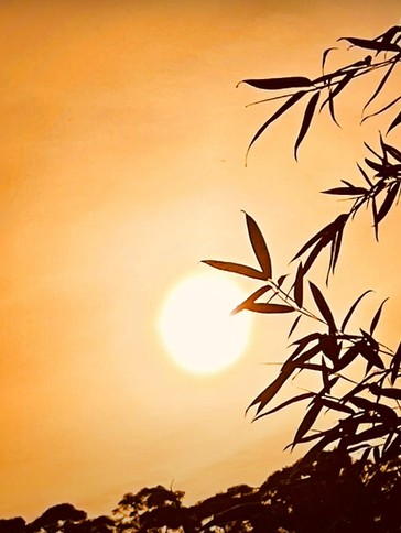 暖陽紓困助學金